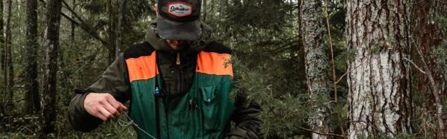 Financial Times valis Euroopa kiiremini kasvavate ettevõtete sekka Eestist ühe metsandusfirma