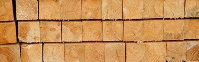 Märtsis hoogustus puidu töötlemine