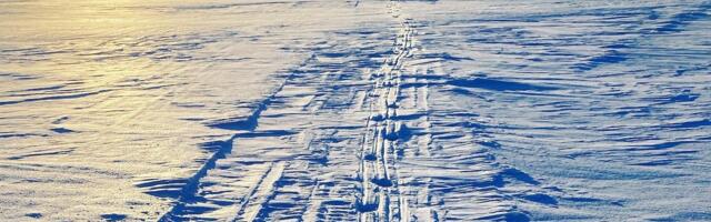 Mart Kase: kallid majad