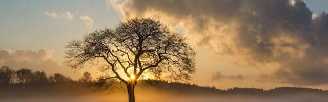 Meteoroloogilised avaandmed leiab nüüd Keskkonnaportaalist