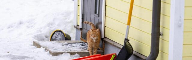 Suure-Jaanis koos nelja-aastase tütrega poodult leitud mees sattus aastaid tagasi kaitsepolitsei aastaraamatusse