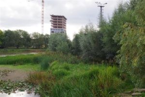 Kuidas mõista looduskultuuri?