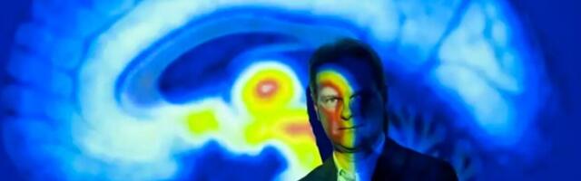 Kas šimpansid on ründamisotsustes inimestest targemad?