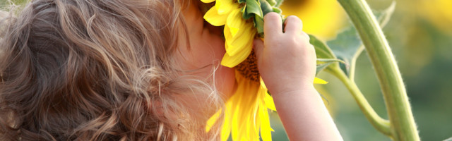 Mihkel Kangur: Gaia haridusest