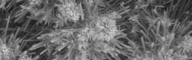 Nanolilled toovad rakkudesse värskeid mitokondreid