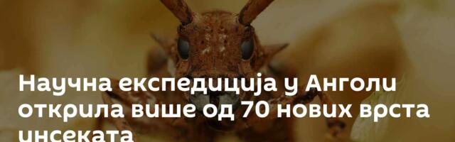 Научна експедиција у Анголи открила више од 70 нових врста инсеката
