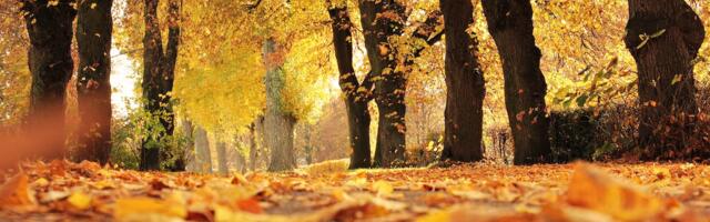 Tartu volikogu saatis avalikustamisele A. Johani ja K. Liimandi tänava nimede muutmise eelnõu