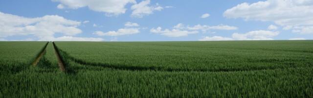 PRIA: mida näitasid 2024. aasta pindala- ja loomatoetuste kontrollid?