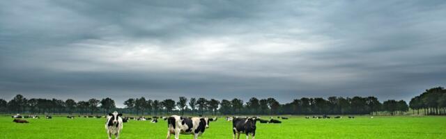 PTA: järelevalvest partnerluseni – fookuses teadlik ühiskond