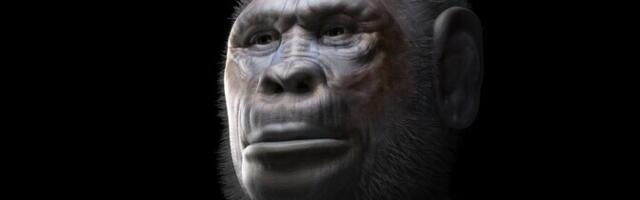 Aafrikast võib olla välja rännanud arvatust rohkem inimliike