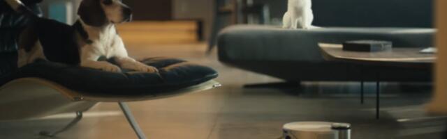 Kas robottolmuimeja ja lemmikloom sobivad kokku?