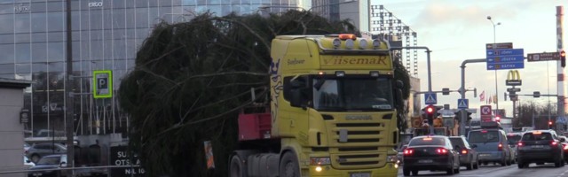 Reporter: Tartu linna jõulupuu sündmusterohke teekond Tartusse