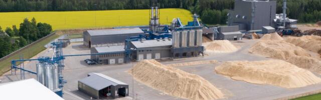 Puidutööstuse kasv tuli aasta alguses järeltöötlejatelt