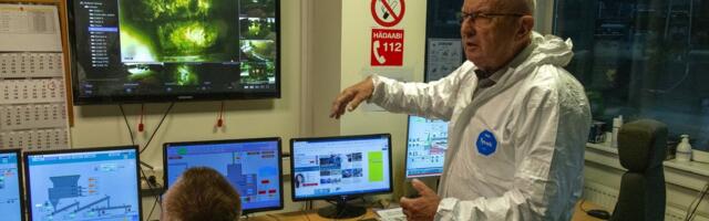 „Vireen pole milleski süüdi.“ Nurme farmis hukatud sigadest valmistatakse Itaalias biodiislit