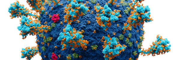 Värske uuring: SARS-CoV-2 viiruskoormus vaktsineeritud ja vaktsineerimata isikutel on sarnane