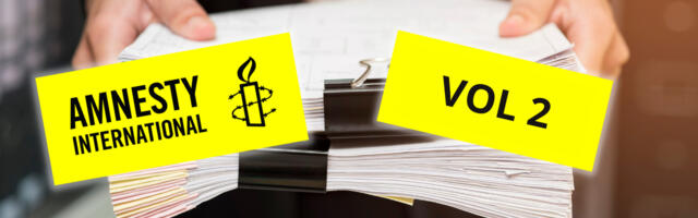 Andres Laiapea: Ukraina võiks järgida Amnesty eeskuju