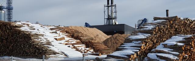 Eesti metsade lageraie on jõudnud Saksa televisiooni uudistesse