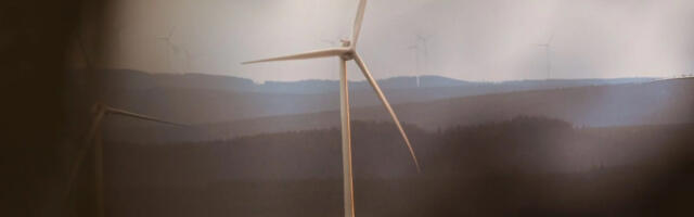 Euroopa suurim tuulepark seisab silmitsi pankrotiga