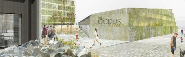 Eesti puidust loodusmaja maa-alune osa hakkab ilmet võtma