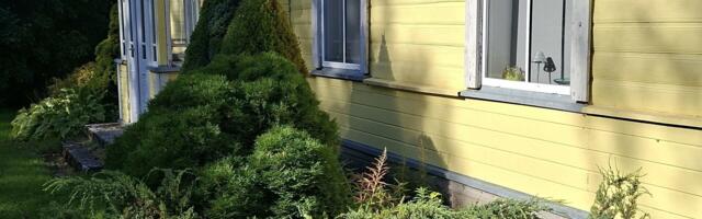 Müügile on tulnud hea hinnaga kohe elatav talumaja, mille saab osta nii suure kinnistu kui ka väiksema õuealaga