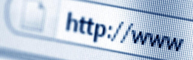 Valehäire: EIS-i süsteemi tõrge põhjustas domeenide kustutusteavituste laviini