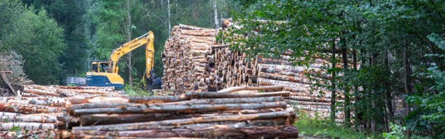 Järjest rohkem inimesi soovib metsaraie vähendamist, keskkonnaminister kritiseerib RMK raiesoove