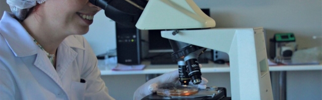 Tehnoloogia arenduskeskused aitavad ettevõtjatel leida konkurentsieelist