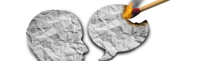 KOLUMN ⟩ Malle Pärn: sotsiaalmeediast netiherilastest ja rumalusest