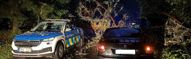 FOTOD | Lääne-Virumaal tormi tõttu teele kukkunud puu tabas politseiautot