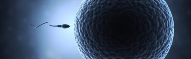 Teaduslikult tõestatud: COVID vaktsiinid mõjutavad nii meeste kui ka naiste viljakust