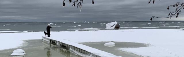 Kaarel Zilmer NÄDALA FOTO