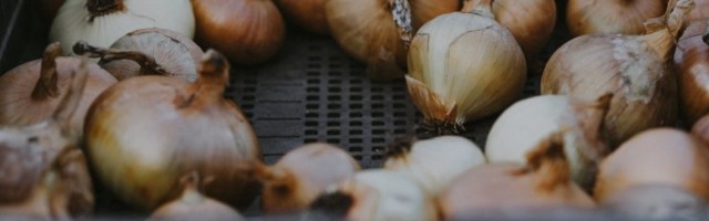 Vaevled pidevalt pea- või kõrvavalu käes? Sibul tõttab valu vaigistama!