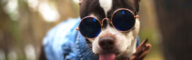 16. märts: Sõnn avaldagu armastust, Kaksikud mingu oma ideedega ülemuse jutule