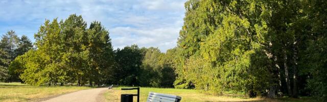 Kadrioru pargi Pillapalu platsi teed läbisid uuenduskuuri