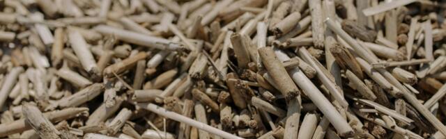 Valminud on Kesk-Eesti ringbiomajanduse teekaart