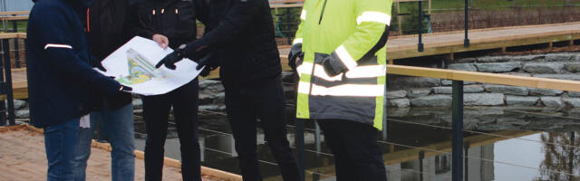 Viimsi pilootprojekt veenappuse vastu