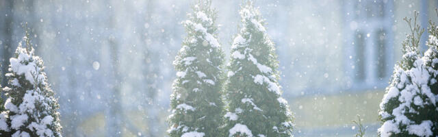 Laupäeval on oodata karget talveilma