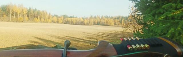 Itaalias lasid kolm jahimeest üksteist maha