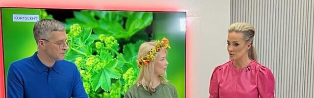 TV3 STUUDIO: Smuutiretsept, mis aitab tervist turgutada