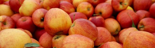 Koolikava tarneahela nõuded puu- ja köögiviljadele leevenesid