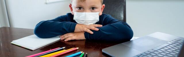 Eestis on 31 koolikollet 477 nakatunuga