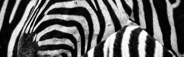 Lihtsad sammud tolerantsuse kasvatamiseks