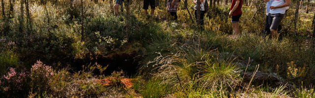 RMK kutsub Eesti looduse päeva matkale Vana-Vigalas!