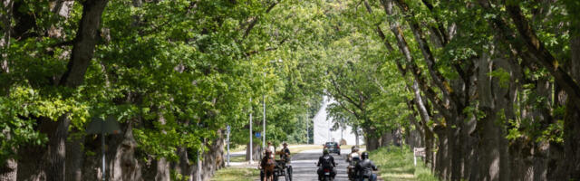 VALLAMAJA SUUREMÕISA ? | Vallavanem: “Minu meelest samuti kaalumist väärt idee.”