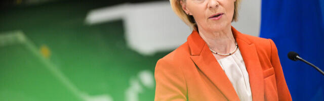 EL töötab välja plaani sõltuvuse lõpetamiseks Hiina muldmetallidest