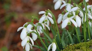 Päevahoroskoop : pühapäev, 8. märts