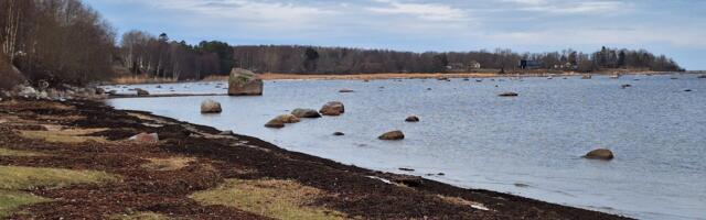 KOMMENTAARIDETA: Tammneeme laht ja sadamamuul 25. veebruaril 2024