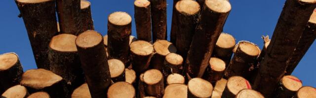 Eesti ekspordi kasvu vedasid toit ja puit