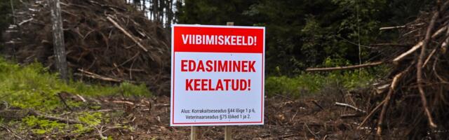 PTA kehtestas 11 uut viibimiskeeldu seoses sigade Aafrika katkuga