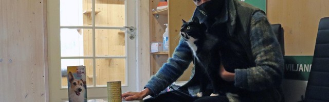 Herol Riiberg andis oma mängusärgi oksjonil teenitud raha loomade varjupaigale